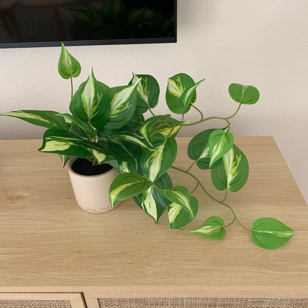 Fake plant from Target